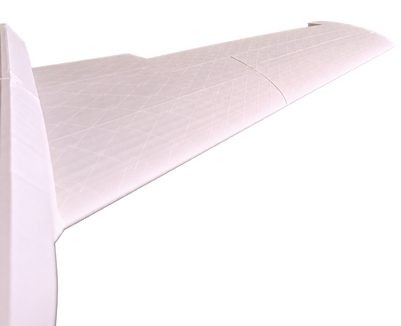 White printed wing installed on the Sylph aircraft, with the surface web pattern visible.